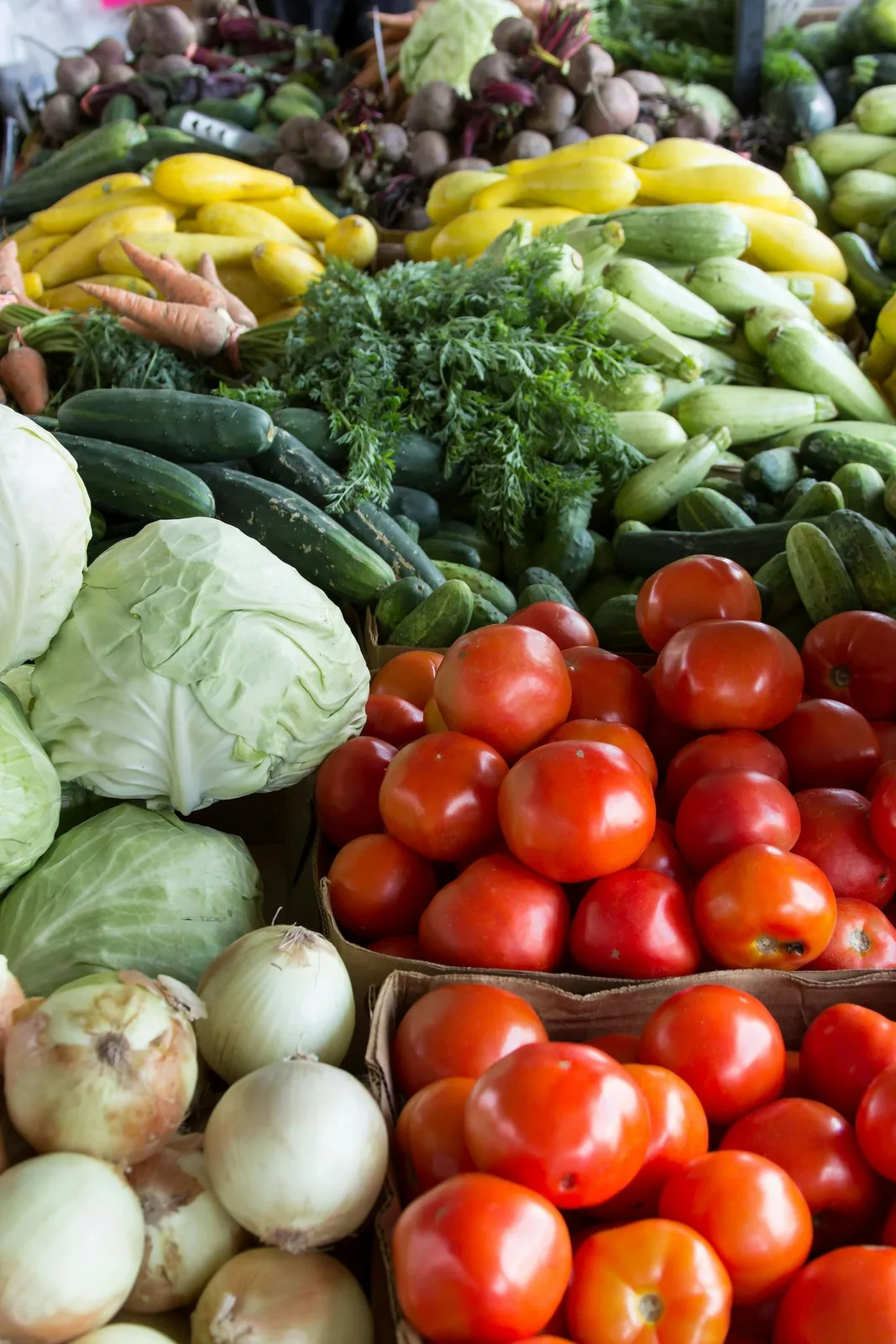 Cadeia de producao hortifrutigranjeira
